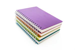 Caderno Escolar A4 96pg